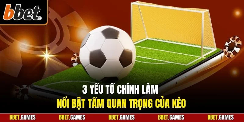 3 yếu tố chính làm nổi bật tầm quan trọng của kèo