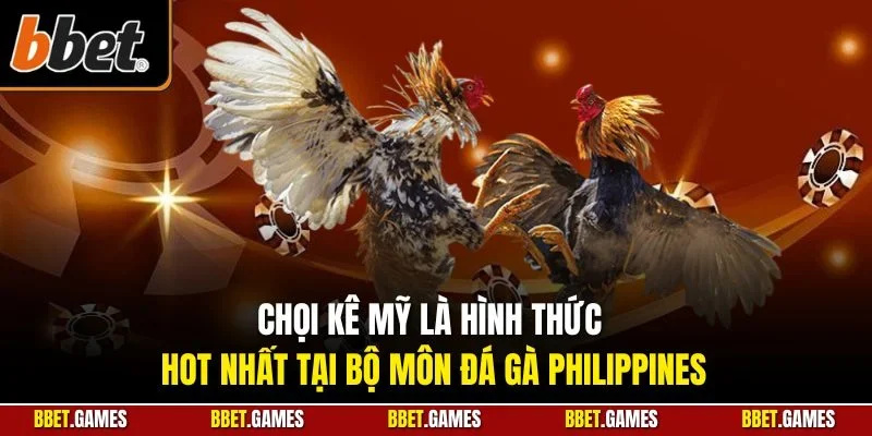 Chọi kê Mỹ là hình thức hot nhất tại bộ môn đá gà Philippines