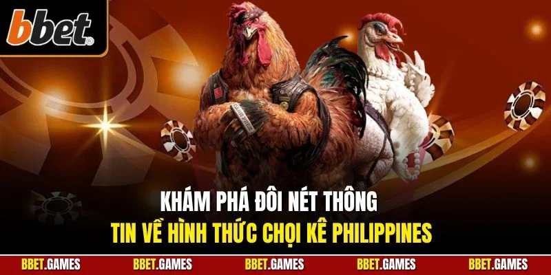 Khám phá đôi nét thông tin về hình thức chọi kê Philippines