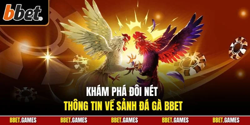 Khám phá đôi nét thông tin về sảnh đá gà BBET