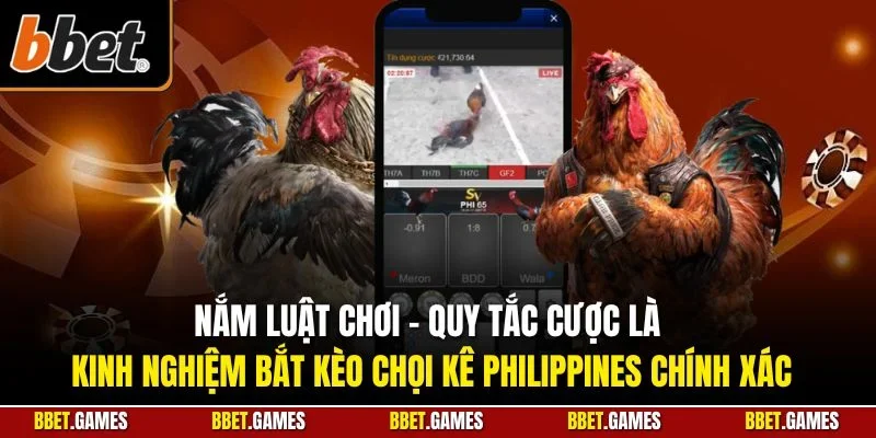 Nắm luật chơi – Quy tắc cược là kinh nghiệm bắt kèo chọi kê Philippines chính xác