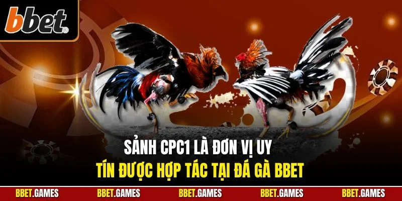 Sảnh CPC1 là đơn vị uy tín được hợp tác tại đá gà BBET