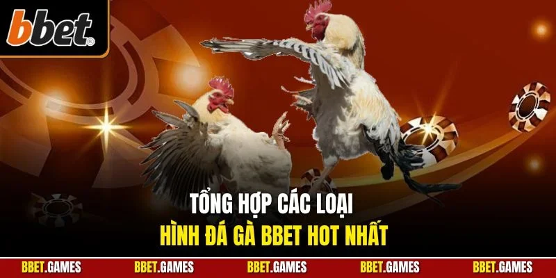 Tổng hợp các loại hình đá gà BBET hot nhất
